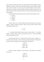 Pelno norma ir rizikos valdymas 11 puslapis