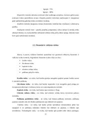 Pelno norma ir rizikos valdymas 12 puslapis