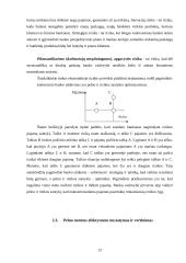 Pelno norma ir rizikos valdymas 13 puslapis