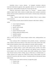 Pelno norma ir rizikos valdymas 14 puslapis