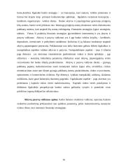 Pelno norma ir rizikos valdymas 16 puslapis