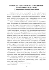 Pelno norma ir rizikos valdymas 17 puslapis