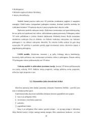 Pelno norma ir rizikos valdymas 18 puslapis