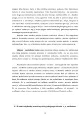 Pelno norma ir rizikos valdymas 19 puslapis