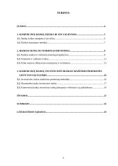 Pelno norma ir rizikos valdymas 3 puslapis