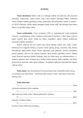 Pelno norma ir rizikos valdymas 4 puslapis