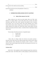 Pelno norma ir rizikos valdymas 5 puslapis