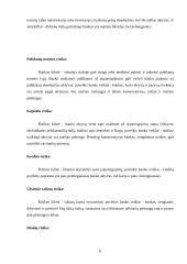 Pelno norma ir rizikos valdymas 6 puslapis