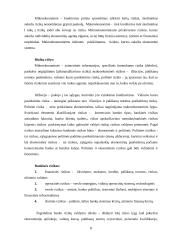 Pelno norma ir rizikos valdymas 8 puslapis