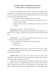 Pelno norma ir rizikos valdymas 10 puslapis