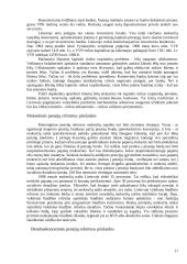 Pensijų reforma Lietuvoje 11 puslapis