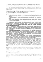 Pensijų reforma Lietuvoje 17 puslapis