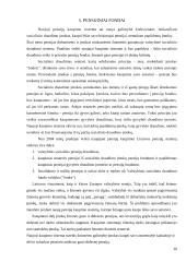 Pensijų reforma Lietuvoje 20 puslapis