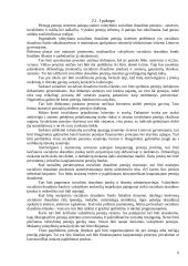 Pensijų reforma Lietuvoje 6 puslapis