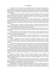 Pensijų reforma Lietuvoje 7 puslapis