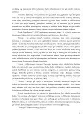 Perdegimo sindromas socialiniame darbe 5 puslapis