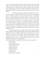 Perdegimo sindromas socialiniame darbe 7 puslapis