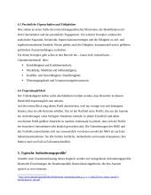 Personaleinsatzplanung in internationalen Unternehmen 12 puslapis