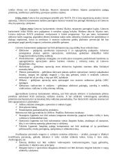 Personalo poreikio planavimas, paieška, atranka ir priėmimas Lietuvos Respublikos Krašto apsaugos ministerijos Gynybos štabe 15 puslapis