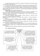Personalo poreikio planavimas, paieška, atranka ir priėmimas Lietuvos Respublikos Krašto apsaugos ministerijos Gynybos štabe 17 puslapis