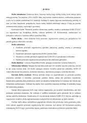 Personalo poreikio planavimas, paieška, atranka ir priėmimas Lietuvos Respublikos Krašto apsaugos ministerijos Gynybos štabe 3 puslapis