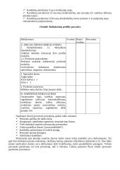 Personalo poreikio planavimas, paieška, atranka ir priėmimas Lietuvos Respublikos Krašto apsaugos ministerijos Gynybos štabe 9 puslapis