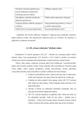 Perspektyvų tyrimas AB "Utenos trikotažas" 18 puslapis