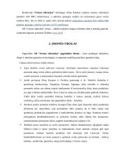 Perspektyvų tyrimas AB "Utenos trikotažas" 3 puslapis