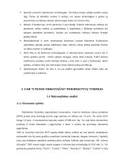 Perspektyvų tyrimas AB "Utenos trikotažas" 4 puslapis