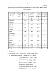 Planuojami veiklos rodikliai: UAB "Venta" 13 puslapis