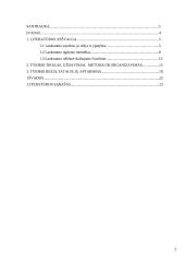 Pradedančiųjų ir pažengusiųjų čiuožėjų lankstumo įvertinimas 2 puslapis