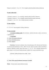 Pradedančiųjų ir pažengusiųjų čiuožėjų lankstumo įvertinimas 15 puslapis