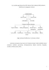 Pradedančiųjų ir pažengusiųjų čiuožėjų lankstumo įvertinimas 7 puslapis