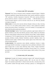 Prekės ženklo marketingas: praktinių sprendimų interpretacija ir kritika: AB "Stumbras 999" 5 puslapis