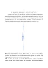 Prekės ženklo marketingas: praktinių sprendimų interpretacija ir kritika: AB "Stumbras 999" 7 puslapis