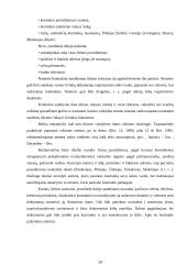 Prekybos skolos. Kontraktai 20 puslapis