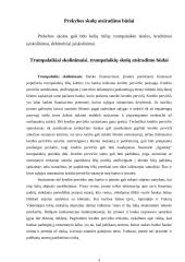 Prekybos skolos. Kontraktai 3 puslapis