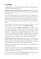 Prekinių ženklų analizė: kramtomosios gumos 3 puslapis