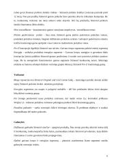 Prekinių ženklų analizė: kramtomosios gumos 6 puslapis