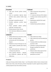 Prekinių ženklų analizė: kramtomosios gumos 8 puslapis