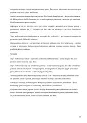 Prekinių ženklų analizė: kramtomosios gumos 10 puslapis