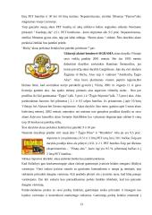 Prekinių ženklų formavimo ypatumai. Alaus pramonės pavyzdžiu 13 puslapis