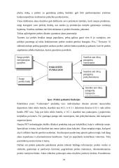 Prekinių ženklų formavimo ypatumai. Alaus pramonės pavyzdžiu 14 puslapis