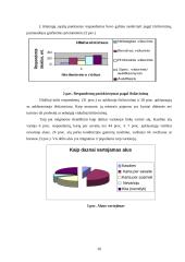 Prekinių ženklų formavimo ypatumai. Alaus pramonės pavyzdžiu 20 puslapis