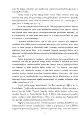 Prekinių ženklų formavimo ypatumai. Alaus pramonės pavyzdžiu 3 puslapis