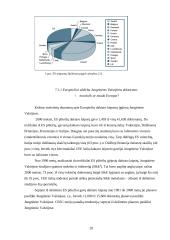 Protų nutekėjimo problema Europos Sąjungoje (ES) 19 puslapis