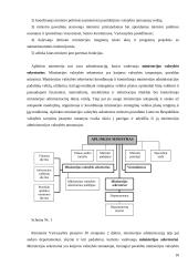 Regioninių aplinkos apsaugos departamentų struktūra, funkcijos ir darbo organizavimas 10 puslapis