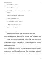 Reikalavimai Europos Sąjungos (ES) rinkai teikiamiems gaminiams 12 puslapis