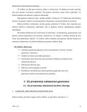 Reikalavimai Europos Sąjungos (ES) rinkai teikiamiems gaminiams 15 puslapis