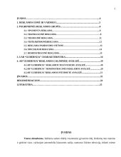 Reklamos galimybių analizė: alaus darykla AB "Gubernija" 2 puslapis